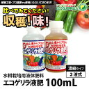 【最大1000円OFFクーポン 10/26(金)11:59迄】水耕栽培 用 液体肥料 エコゲリラ 液肥 A・B液(2本組)100mL まずはミニボトルから!倍養液にすると50L分【あす楽】