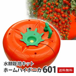 【送料無料】水耕栽培キット・ホームハイポニカ601家庭菜園に活躍！肥料もセットで安心！