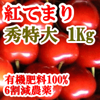 ●送料無料【紅てまり 】バラ詰め　秀品　2L-4L特大サイズ1Kg（冷蔵）山形県村山市/坂…...:eco-harmony:10002647