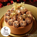 【12月3日発送開始】クリスマスケーキ ショコラバリ ノエル(5号:15cm)【冷凍便】【