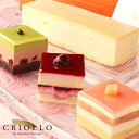 【5月1日発送開始】【母の日ケーキ4種セット】幻のチーズケーキ+プチガトー3種のセッ