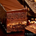 【1月30日発送開始】【チョコレートケーキ】トレゾー・バリ 2〜3名様用【常温便】バレ