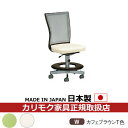 カリモク デスクチェア・学習チェア・学習椅子/ 学習チェア 幅530mm カフェブラウンT色塗装【XT1903-W】