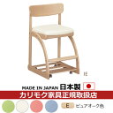 カリモク デスクチェア・学習チェア・学習椅子/ 学習チェア 幅480mm ピュアオーク色【XT1811-E】