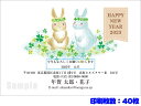 【送料無料】全335柄 2023年度版 卯年 郵政お年玉付き年賀はがき(官製年賀葉書) 年賀状印刷 40枚 フルカラー年賀状 504pr_40