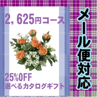 カタログギフト　2,625円Aコース【25％OFF】【出産内祝い，お中元，御中元，結婚，快気祝い，新築内祝い，法要引き出物，香典返し，お返し，ギフト】【メール便送料無料】