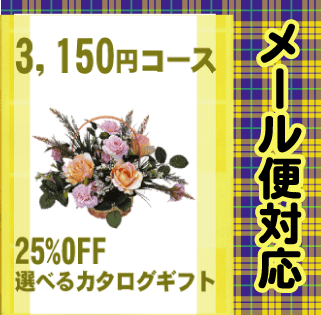 カタログギフト　3,125円Bコース【25％OFF】【出産内祝い，お中元，御中元，結婚，快気祝い，新築内祝い，法要引き出物，香典返し，お返し，ギフト】【メール便送料無料】