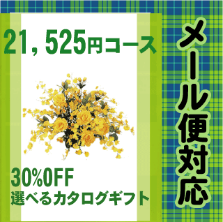 カタログギフト　21,525円Jコース【30％OFF】【出産内祝い，お中元，御中元，結婚，快気祝い，新築内祝い，法要引き出物，香典返し，お返し，ギフト】【メール便送料無料】