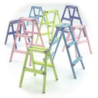 ԥPiCaˡPFC-2LBƧ桡̵