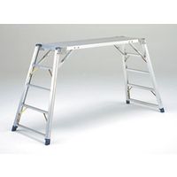 ԥPiCaˡDWG-10­ʲ¼˥ʥ̵