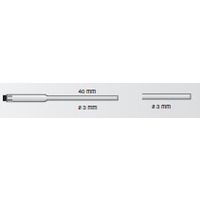 Ǽۤʸ2֥ƥȡtestoˡ06280006Ϲٿ/Ĳץ̵֡