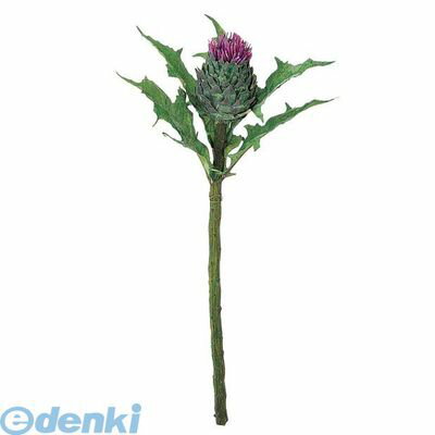 https://thumbnail.image.rakuten.co.jp/@0_mall/edenki/cabinet/tokyo_oonisi01/ed2002313.jpg?_ex=500x500