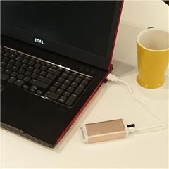 エレス 充電式カイロ+モバイルバッテリー e-Kairo XL シャンパンゴールド EKAIROXL-CGD [EKAIROXLCGD]