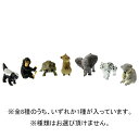 タカラトミー アニアくじ(5) 目指せ世界一!どうぶつコレク...