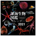 日本プロセス秀英堂 カレンダー 2021年版 深海生物図鑑 ...