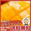 Ìõ¤¢¤ê ²Æì»º ¥Þ¥ó¥´¡¼¢ö5-8¶Ì 2kg¥»¥Ã¥È Á÷ÎÁ̵ÎÁ¡ÚͽÌó¼õÉÕÃæ¡Û¥ê¥Ô¡¼¥¿¡¼Â³½Ð¤Î´Å¤µ¡ú ¡Ã¥Þ¥ó¥´¡¼ ¡Ã¢¨7·îÃæ½Ü¡Á½ç¼¡È¯Á÷ ¢¨È¯Á÷»þ´ü¤ÏÌܰ¤ʤΤÇ¿¾¯¡¢Á°¸å¤¹¤ë¾ì¹ç¤â¤´¤¶¤¤¤Þ¤¹¡£