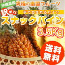 訳あり!!スナックパイン♪送料無料沖縄からもぎたてをお届け！沖縄(お土産)おみやげ 通販 訳あり 端っこ スイーツ グルメ 食品 沖縄土産に！激安!!2200円OFF☆超激甘！訳あり スナックパイン（ボゴールパイン）【送料無料】3.5kg！パイナップルお試し 沖縄 石垣 国産 沖縄(お土産) 通販 訳あり 端っこ スイーツ グルメ 食品 沖縄土産に！05P24jul13【RCP】10P04Aug13