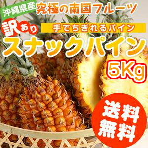 訳あり!スナックパイン（ボゴールパイン）もぎたてをお届け！大人気の、パイナップルお試し 沖縄(お土産)通販 訳あり 端っこ グルメ 食品(沖縄土産・沖縄おみやげ)激安!!4200円OFF☆超激甘！訳あり スナックパイン5kg（ボゴールパイン）【送料無料】お試し パイナップル 沖縄 石垣 国産 沖縄(お土産) 通販 訳あり 端っこ グルメ 食品 (沖縄土産・沖縄おみやげ)に最適です♪05P24jul13【RCP】10P04Aug13