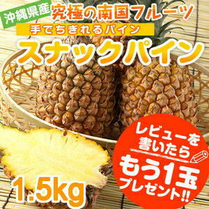 沖縄産 お試し スナックパイン (ボゴールパイン）石垣島・宮古島も驚きの(パイナップル)沖縄の、フルーツ・果物 ギフト(お使い物)や(沖縄土産)【お祝いに贈る】【RCP】【送料無料】沖縄産 スナックパイン 1.5kg（ボゴールパイン）★沖縄からもぎたてをお届け！レビューを書いて、もう1玉」沖縄県 沖縄 石垣 国産、お試し パイナップル フルーツ 果物(くだもの)ギフト 沖縄(お土産)沖縄土産　お中元 05P24jul13【RCP】
