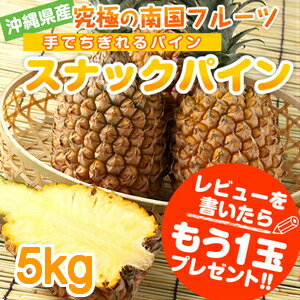 沖縄産 スナックパイン（ボゴールパイン） 送料無料♪「レビューお約束で、もう1玉（小玉）プレゼント！パイナップル 沖縄 フルーツ(果物)産地直送 ご当地 グルメ【送料無料】沖縄産 スナックパイン5kg（4〜8玉）★沖縄から直送！もぎたて！沖縄 石垣 国産 ボゴールパイン お試し パイナップル フルーツ(果物)くだもの ギフト お取り寄せ ご当地 グルメ 産地直送【楽ギフ_のし】05P24jul13【RCP】10P04Aug13