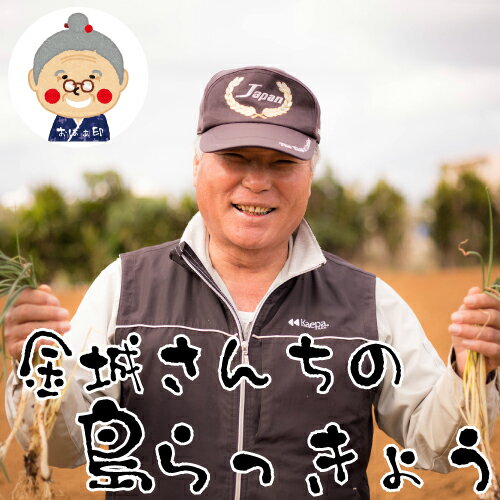 島らっきょう沖縄県産(100g) 量り売り♪500g以上購入で100gオマケ！ いよいよ旬…...:edoya13:10000010