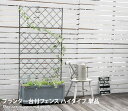アイアン フェンス 庭 ガーデン おしゃれ 高級感 仕切り 上品 ガーデニング スタイリッシュ ホワイト ブラック 白 黒