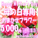 母の日 花 ギフト 母の日専用★デザイナーにおまかせフラワー...