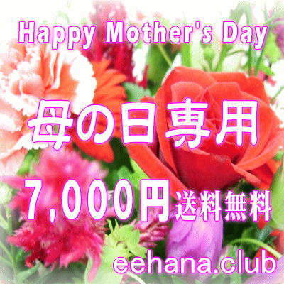 ѡޤեMama'sFlower7,000ߡ̵ۡڥ󥸡«ȭʪץꥶ֥ɥե