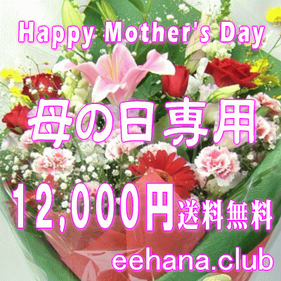 ѡޤեMama'sFlower12,000ߡ̵ۡڥ󥸡«ȭʪץꥶ֥ɥե