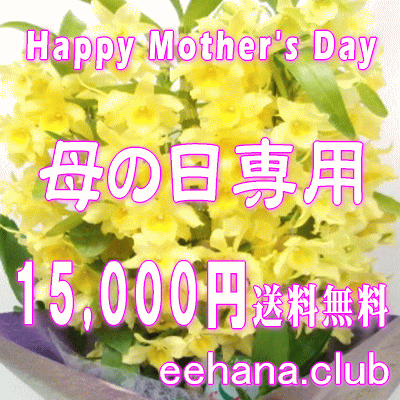 ѡޤեMama'sFlower15,000ߡ̵ۡڥ󥸡«ȭʪץꥶ֥ɥե