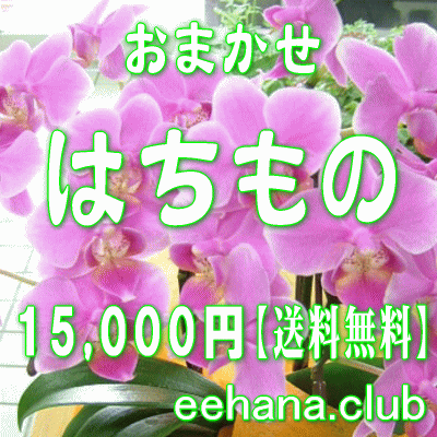 fUCi[ɂ܂t[͂́EԔEO[vvc15.000~yzyjEErWlXz