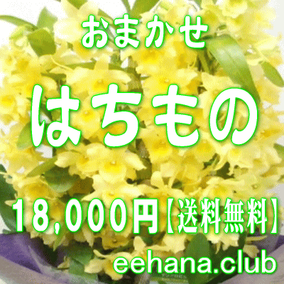 fUCi[ɂ܂t[͂́EԔEO[vvc18.000~yzyjEErWlXz