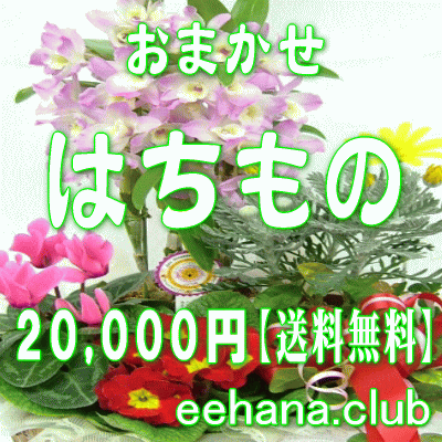 fUCi[ɂ܂t[͂́EԔEO[vvc20.000~yzyjEErWlXz