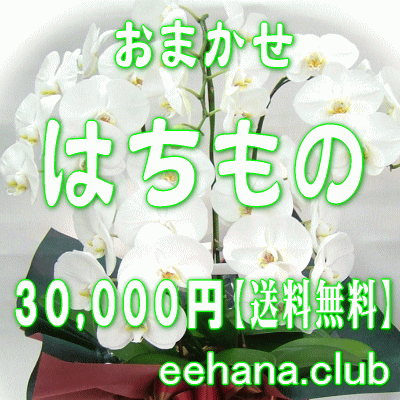 fUCi[ɂ܂t[͂́EԔEO[vvc30.000~yzyjEErWlXz