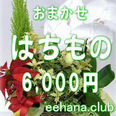 fUCi[ɂ܂t[͂́EԔEO[vvc6.000~yōzyjEErWlXz