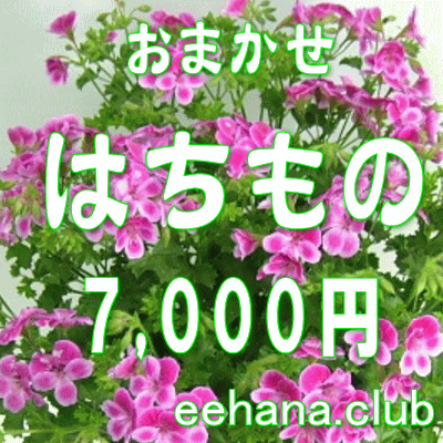 fUCi[ɂ܂t[͂́EԔEO[vvc7.000~yōzyjEErWlXz