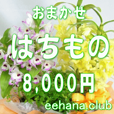 fUCi[ɂ܂t[͂́EԔEO[vvc8.000~yōzyjEErWlXz