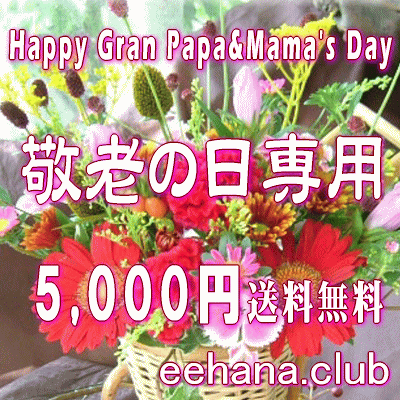 Ϸѡǥʡˤޤե5,000ߡ̵ۡۥͥåò