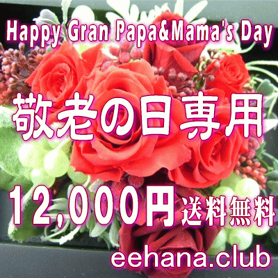 Ϸѡǥʡˤޤե12,000ߡ̵ۡۥͥåò