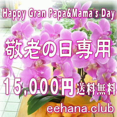 Ϸѡǥʡˤޤե15,000ߡ̵ۡۥͥåò