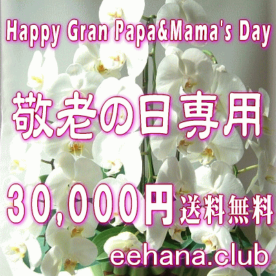 Ϸѡǥʡˤޤե30,000ߡ̵ۡۥͥåò