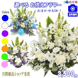 お供え お悔み フラワーギフト【あす楽15時】土日祝も営業 お悔やみに贈る花★お供え専用おまかせフラワー3,<strong>500円</strong>【送料無料】【楽ギフ_包装】【法事 お供え お盆 お彼岸 お供え お悔やみ アレンジ <strong>花束</strong>ペットのお供え】【即日配達】