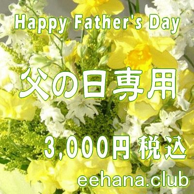 եǥʡˤޤ3,000ߡۡǹۡڥե󥸡«ۥͥåò