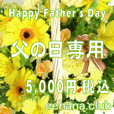 ե ǥʡˤޤ5,000ߡ̵ۡۡڥե󥸡« 0602̵ۥͥåò