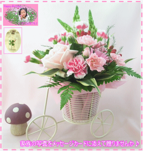 12֤ˤʤδ̿եåź£ޤ󤫢12֢륢󥸡3,800ߡۡڼ̿դåġ̵ۡ