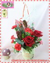 12月の誕生花♪ツリーアレンジ【3,500円】【写真付きメッセージ選択可】:【送料無料】【楽ギフ_包装】【楽ギフ_メッセ】【楽ギフ_メッセ入力】【あす楽対応】
