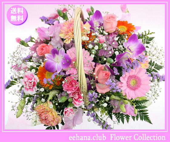 1月の誕生花★ハッピーアレンジ5,000円【送料無料】【写真付きメッセージ選択可】【楽ギフ…...:eehana:10001484