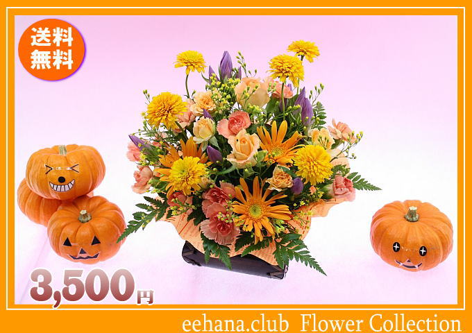 ポイント5倍！10月の誕生花★ビタミンオレンジアレンジ3,500円【送料無料】【ガーベラ】花言葉カード付き【写真付きメッセージ選択可】【あす楽対応】