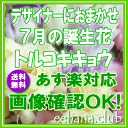 7月の誕生花 デザイナーにおまかせフラワー18,000円【送料無料】【フラワーアレンジ・花束】【写真付きカード選択可】ネット特価!【楽ギフ_包装】【楽ギフ_メッセ】【楽ギフ_メッセ入力】【あす楽対応】
