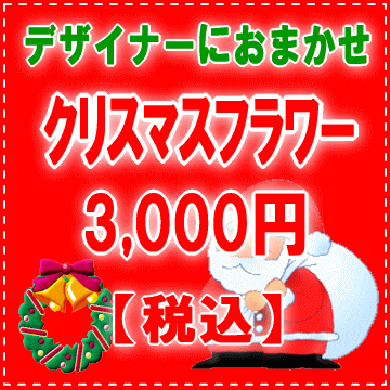 デザイナーにデザイナーにおまかせ★フラワー★★クリスマスのプレゼントに★X'masフラワー…...:eehana:10001474